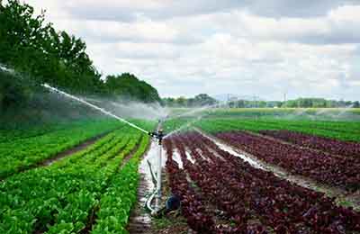 农田灌溉过程中的水力学问题